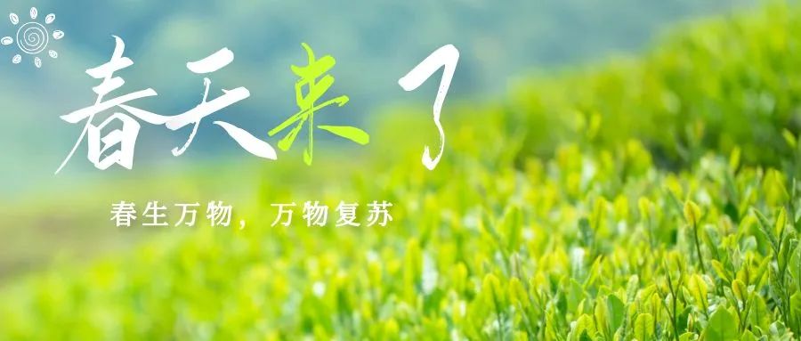 赏金船长·PG(中国游)官方网站